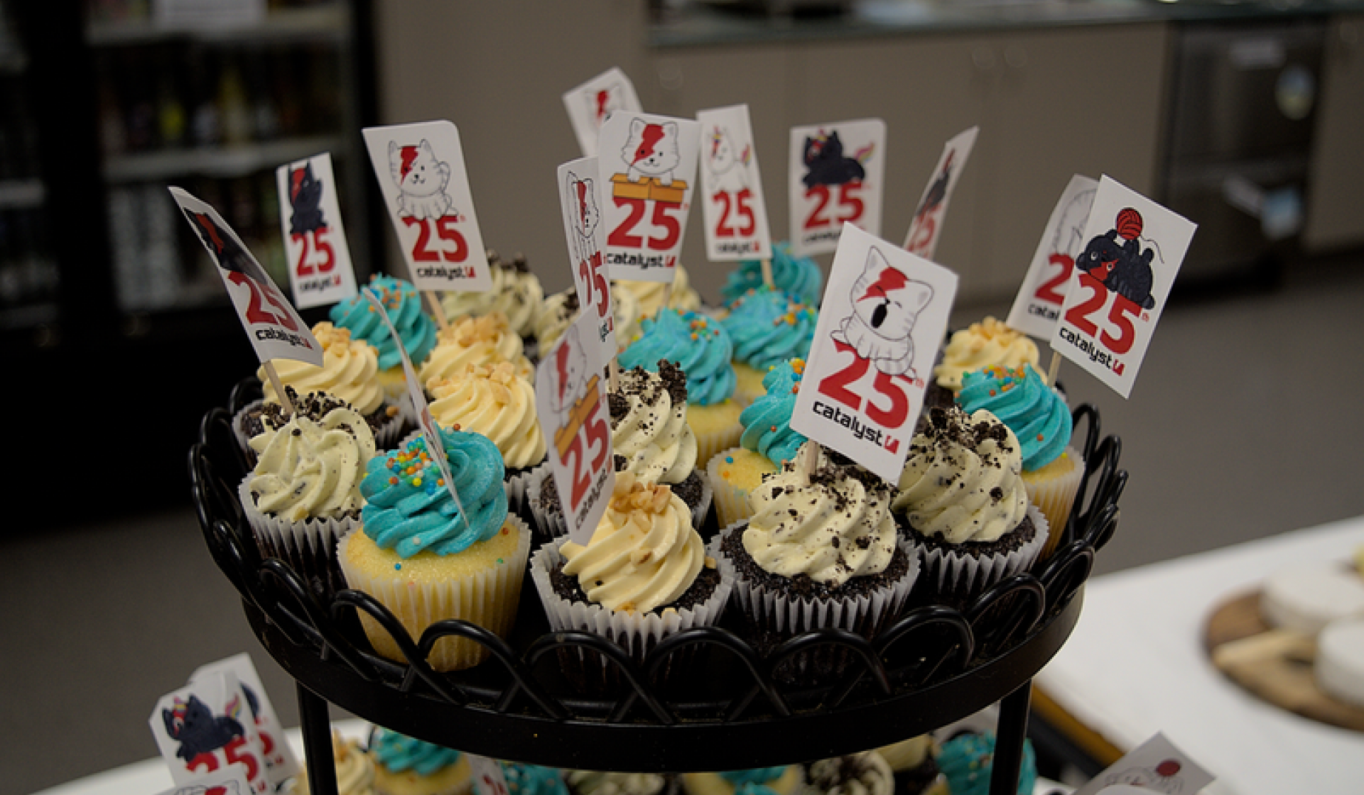 A lot of cupcakes with blue or white icing and sprinkles and flags saying Catalyst 25