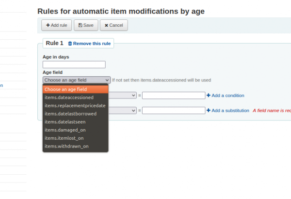 The Automatic item modifications by age page