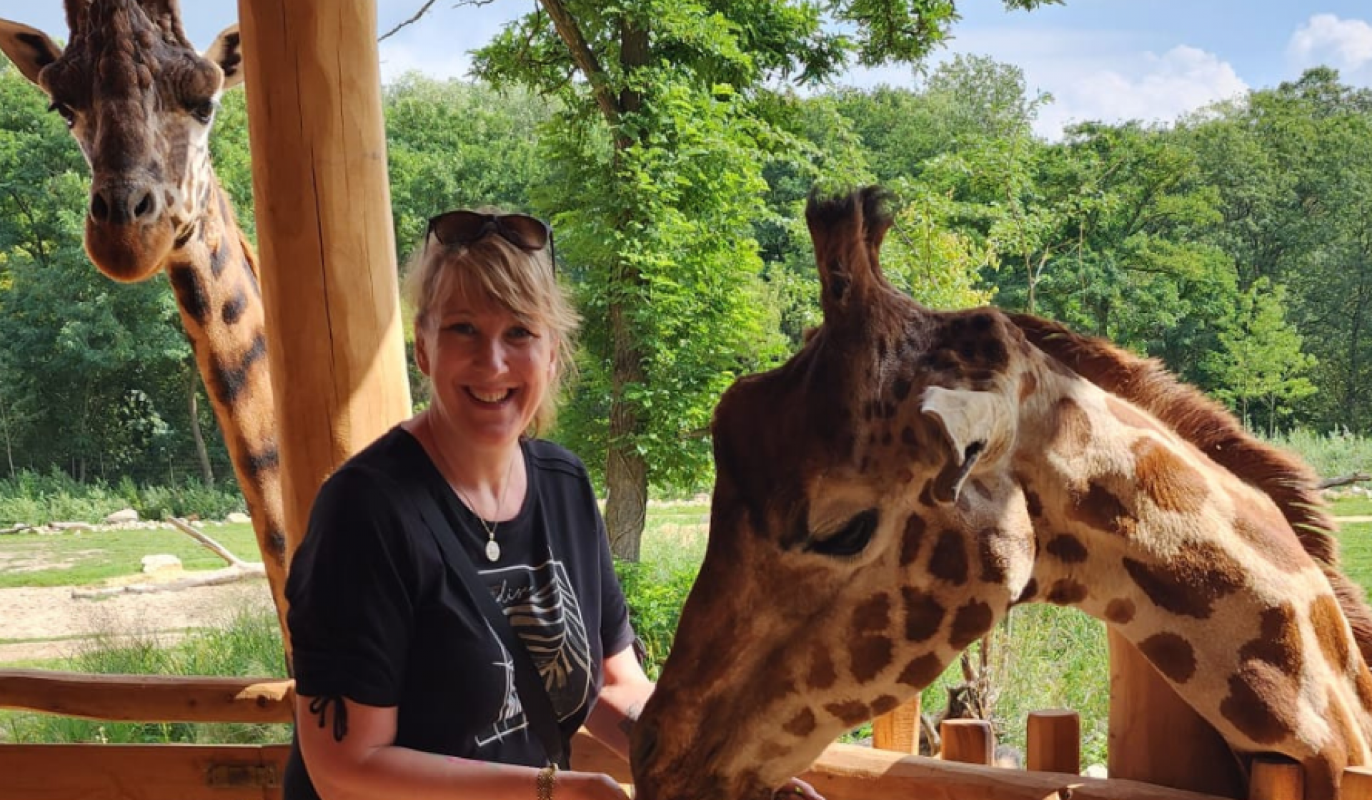 Alex Virtue zookeeper stands next to giraffes infront of a tree